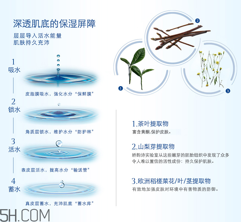 嬌韻詩(shī)恒潤(rùn)奇肌保濕乳霜